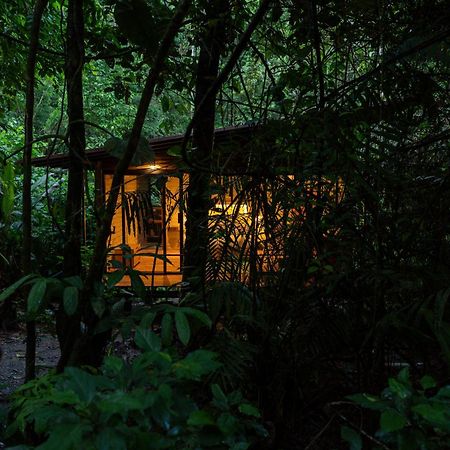 Hamadryade Lodge Puerto Misahuallí Exteriör bild