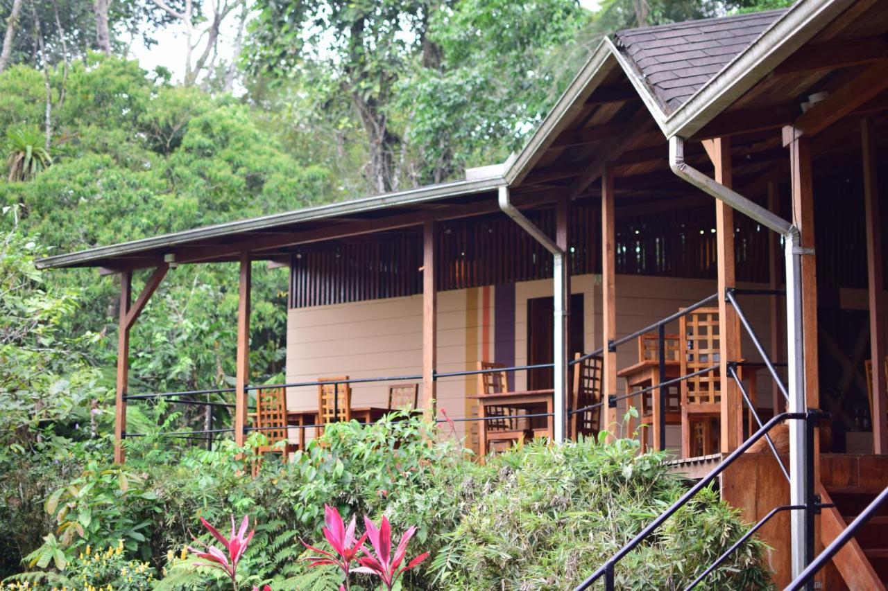 Hamadryade Lodge Puerto Misahuallí Exteriör bild