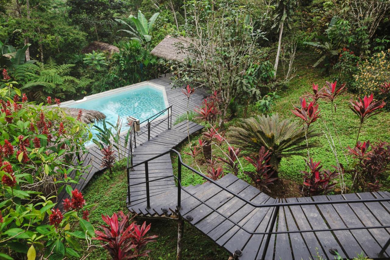 Hamadryade Lodge Puerto Misahuallí Exteriör bild