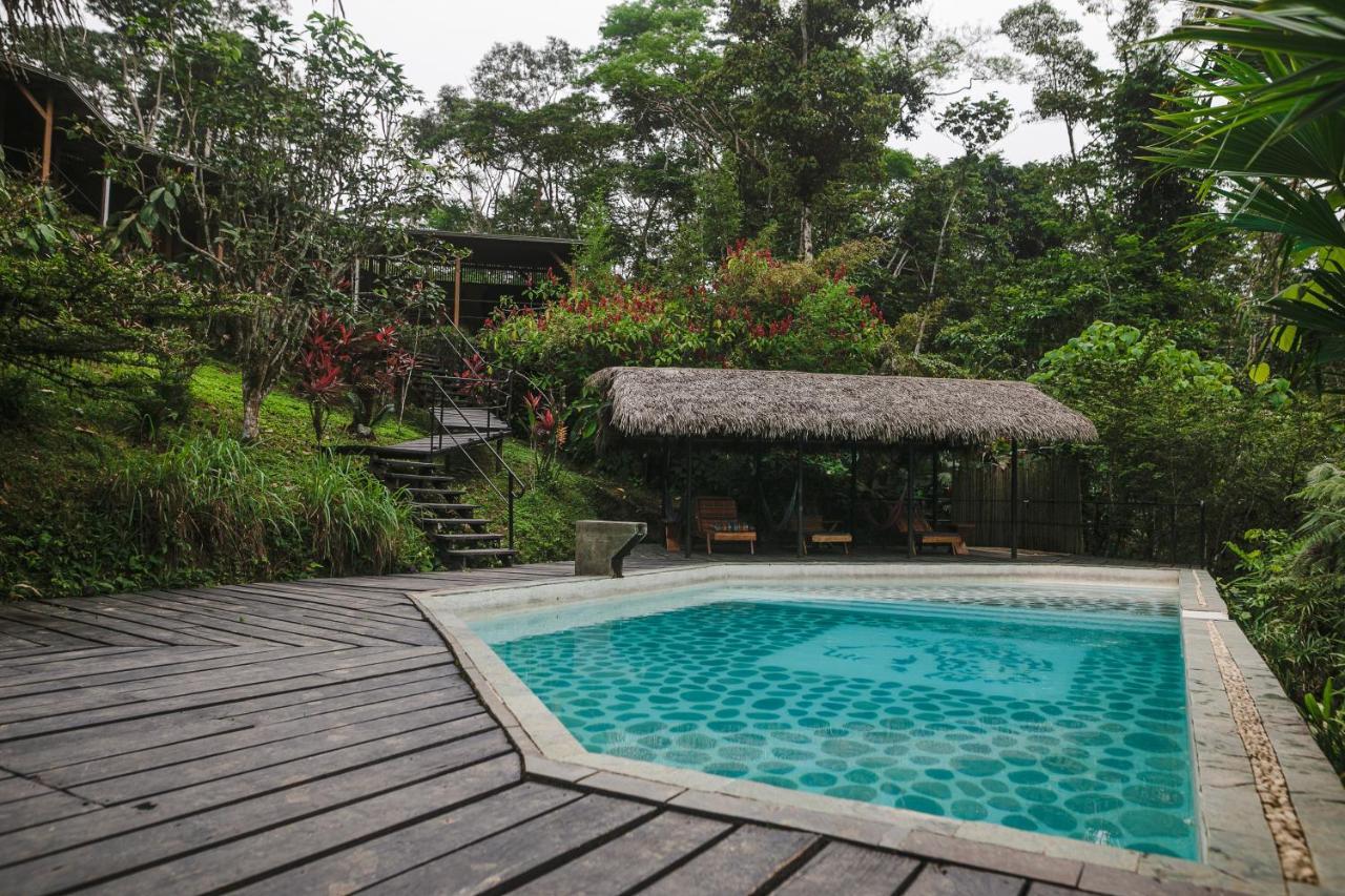 Hamadryade Lodge Puerto Misahuallí Exteriör bild