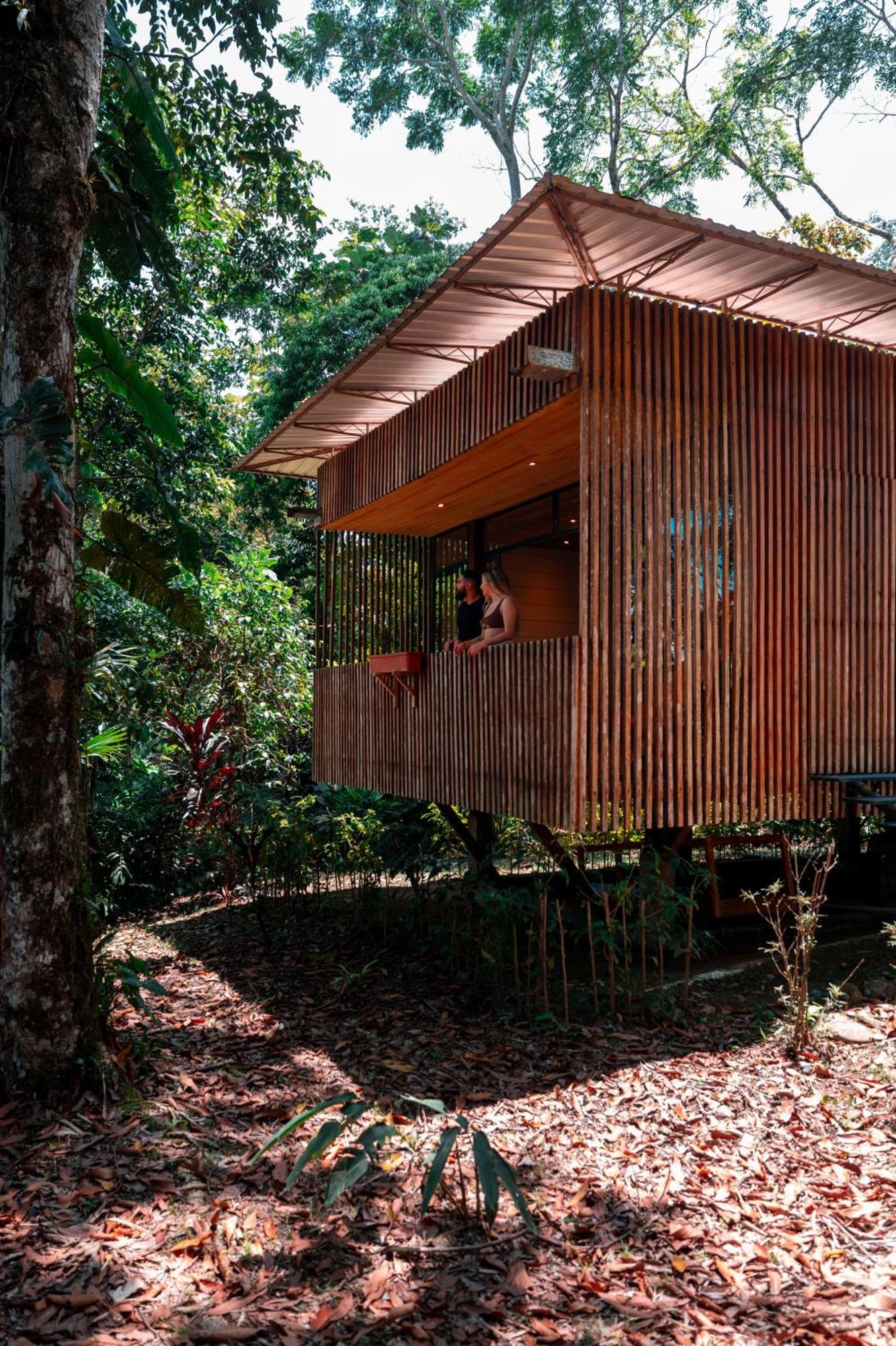 Hamadryade Lodge Puerto Misahuallí Exteriör bild