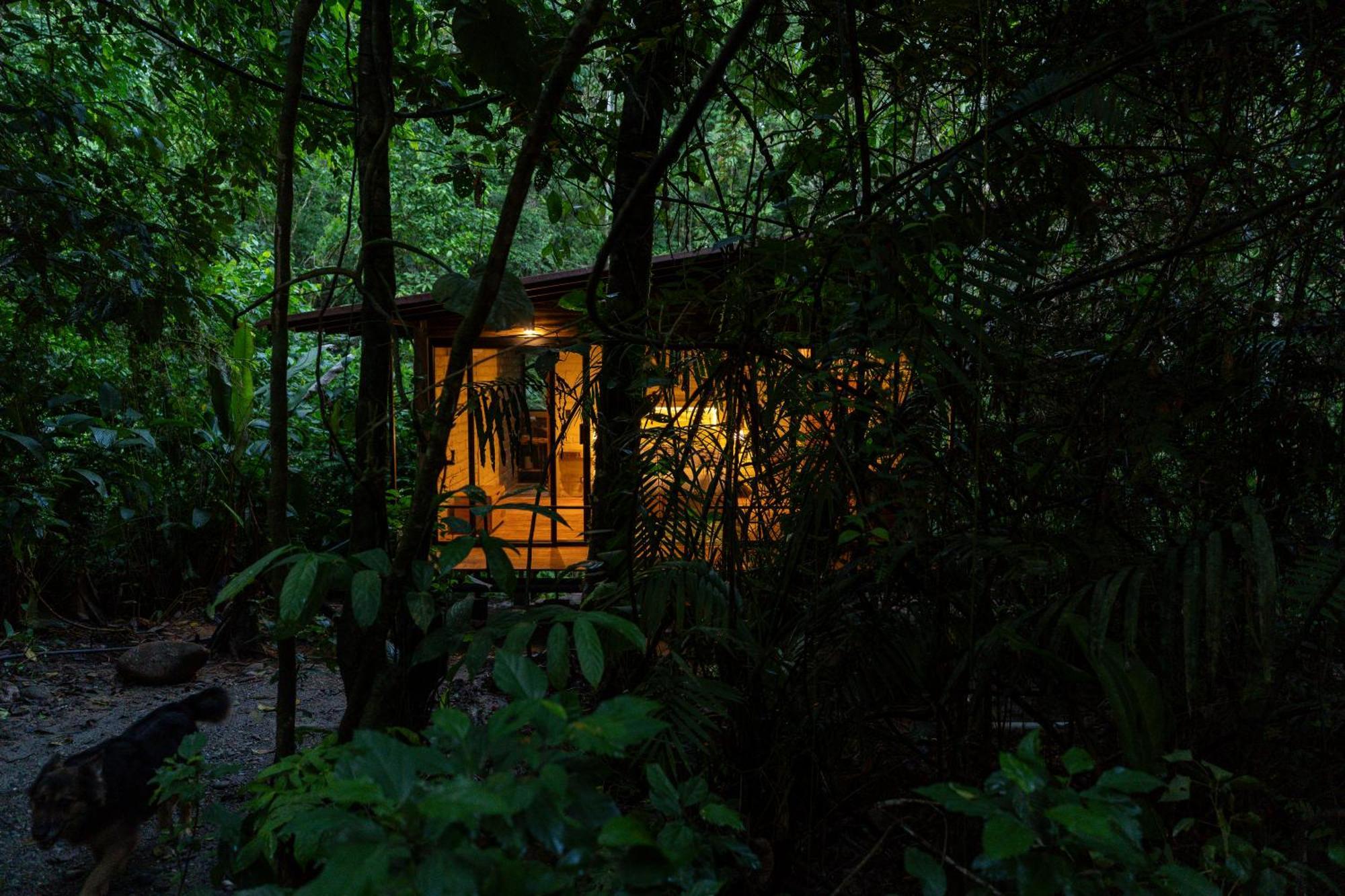 Hamadryade Lodge Puerto Misahuallí Exteriör bild
